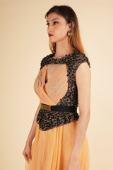 Gold Embellished GownDSC01667