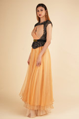 Gold Embellished GownDSC01668