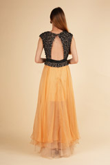 Gold Embellished GownDSC01675