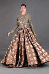 Brown Embroidered Gown