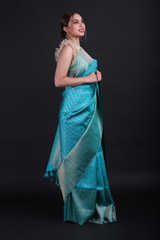 Blue Zari Kanchivaram SareeIMG_9948