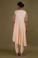 Peach Saree GownDSC01502