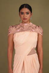 Peach Saree GownDSC01506