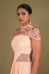 Peach Saree GownDSC01507