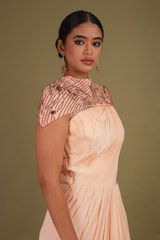 Peach Saree GownDSC01510
