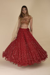 Red Raw Silk Lehenga_DTR0131