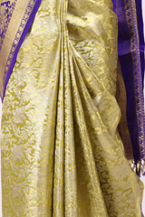 Green Saree With Blue BorderIMG_6575