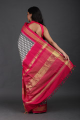 Grey Ikat SareeIMG_5400