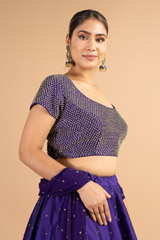 Studded Blouse Lehenga  SetDSC00370