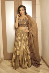 Brown Lehenga Set