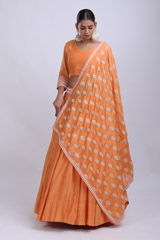 Orange Embroidered Lehenga SetIMG_8943