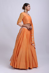 Orange Embroidered Lehenga SetIMG_8946