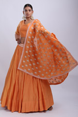 Orange Embroidered Lehenga SetIMG_8950