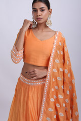 Orange Embroidered Lehenga SetIMG_8958