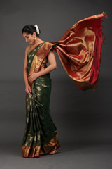 Green Peacock Motif SareeIMG_6670