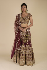 Red Bridal Embroidered Lehenga_SUB8452