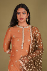 Brown Sharara SetDSC01842