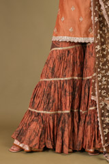 Brown Sharara SetDSC01844
