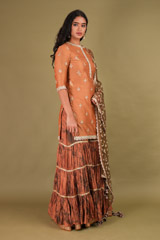 Brown Sharara SetDSC01845