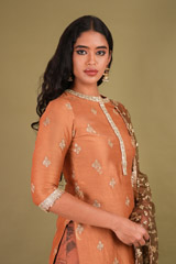 Brown Sharara SetDSC01846