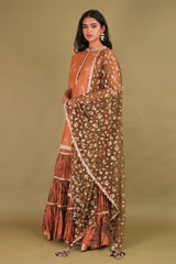 Brown Sharara SetDSC01847