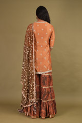 Brown Sharara SetDSC01851