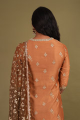 Brown Sharara SetDSC01852
