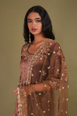 Brown Embellished Sharara SetDSC01784