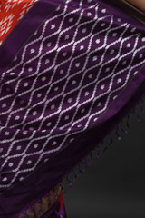 Orange Ikat Silk Saree_DSC5719