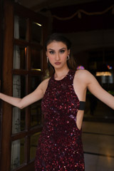 Bourgogne GownDSC06651