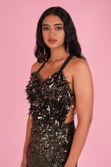 Bellingshausen GownDSC01870