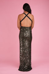 Bellingshausen GownDSC01875