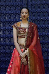 Red Banarasi LehengaIMG_3151