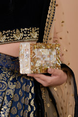 Champagne Crystal Mother Of Pearl Clutch_DTR3481