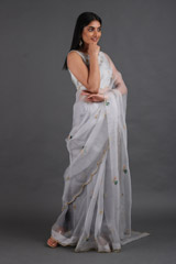 Bluish Grey Organza SareeIMG_2689