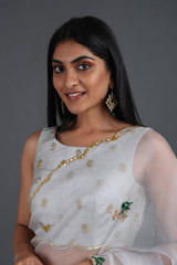 Bluish Grey Organza SareeIMG_2694