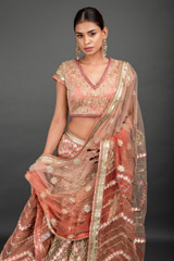 Peach Applique Embroidered Lehenga_DSC3846-Edit
