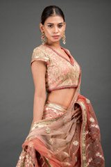 Peach Applique Embroidered Lehenga_DSC3848-Edit