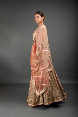 Peach Applique Embroidered Lehenga_DSC3849-Edit