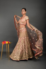 Peach Applique Embroidered Lehenga_DSC3863-Edit
