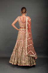Peach Applique Embroidered Lehenga_DSC3864-Edit
