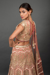 Peach Applique Embroidered Lehenga_DSC3867-Edit