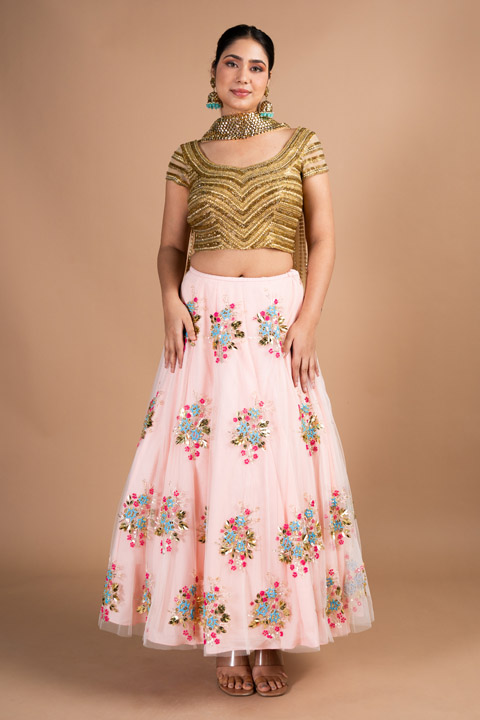 Blush Pink And Gold Net Lehenga