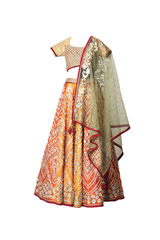 Orange Embellished Lehenga1