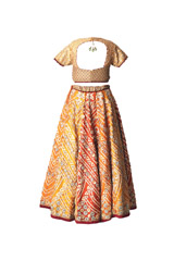 Orange Embellished Lehenga4