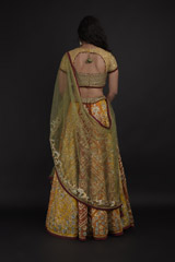 Orange Embellished Lehenga_SUB7870