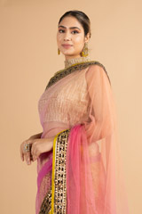 Pink Net SareeDSC00540