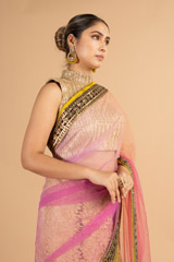 Pink Net SareeDSC00541