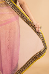 Pink Net SareeDSC00544