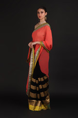 Red Embroidered SareeIMG_0998